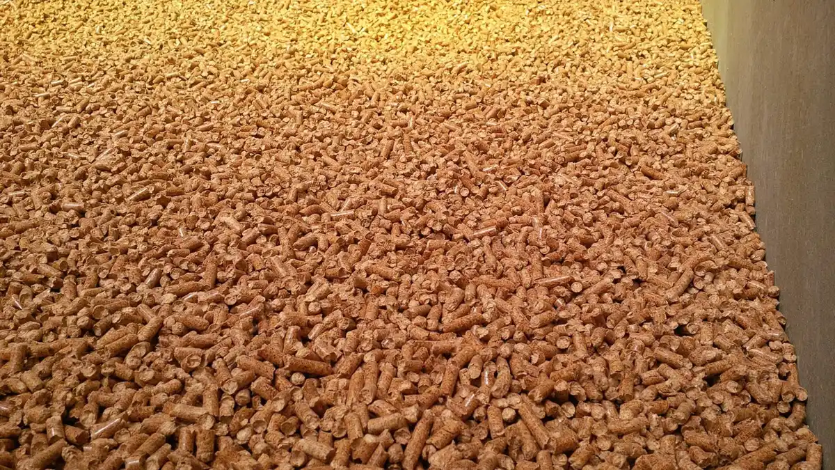 Granulés de bois en vrac, vus de près