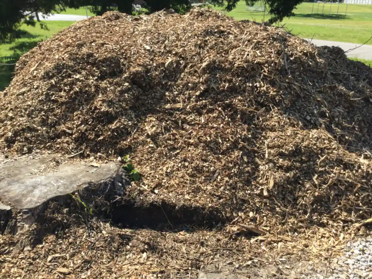 Compost en tas