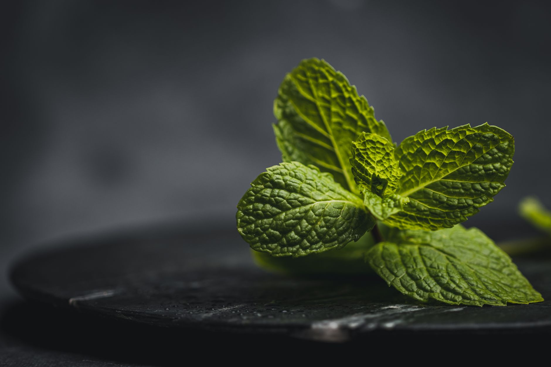 La menthe poivrée : l'atout méconnu pour une expérience client écolo